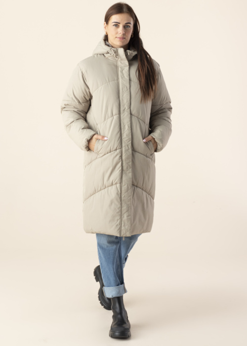 Noisy May ziemas metelis Tenna