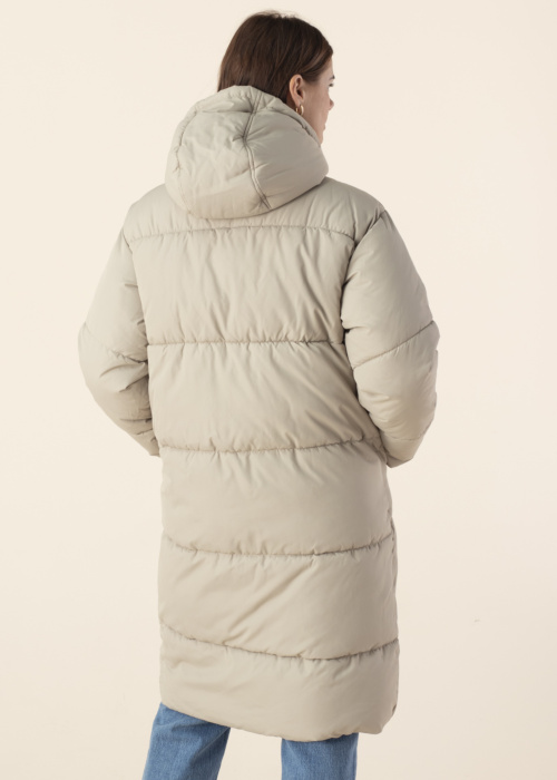 Noisy May ziemas metelis Tenna