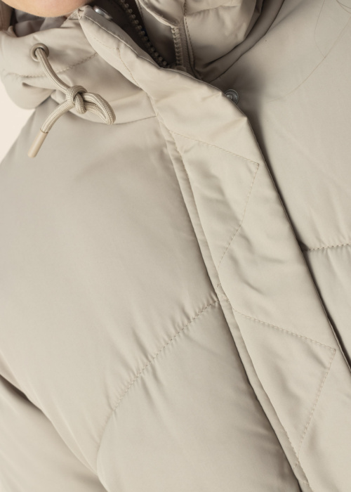 Noisy May ziemas metelis Tenna