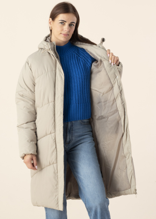 Noisy May ziemas metelis Tenna