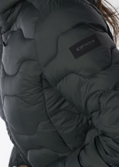 Icepeak ziemas metelis Bandis