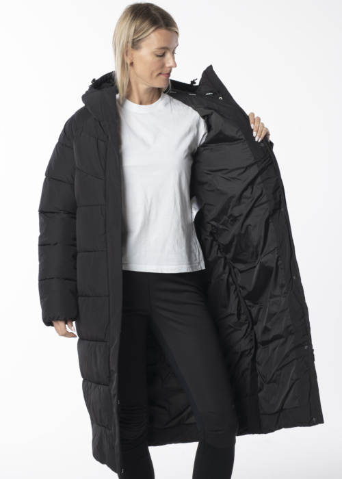 Rukka ziemas metelis Vintteri