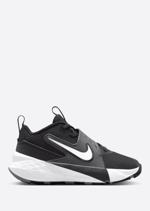 Баскетбольные кроссовки Team Hustle D 12 Ps Nike