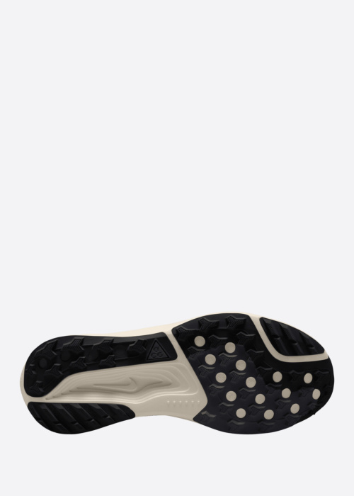 Nike apavi skriešanai Acg Pegasus Trail Gtx