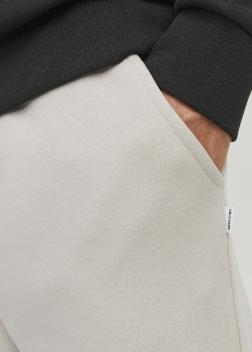 Jack & Jones sporta bikses Gordon Bradley