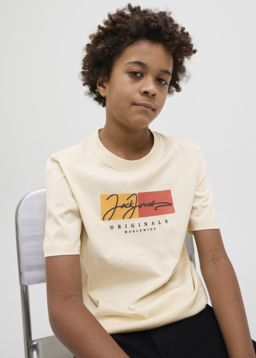 Футболка Frederiksberg Jack & Jones