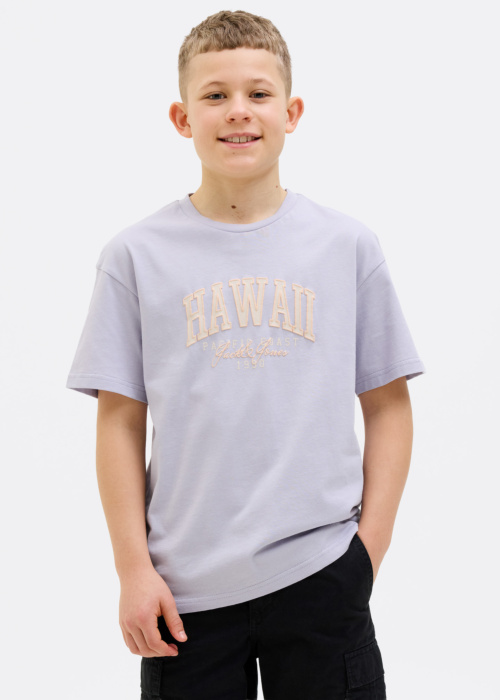 Футболка Detroit Jack & Jones