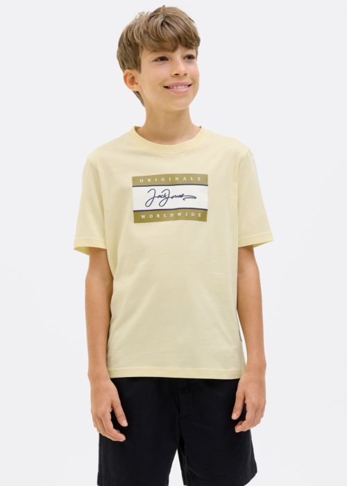 Футболка Frederiksberg Jack & Jones