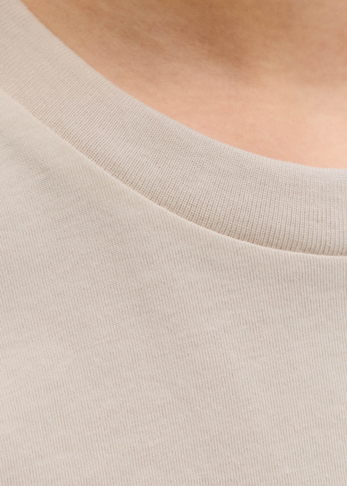 Jack & Jones T-krekls Rayson