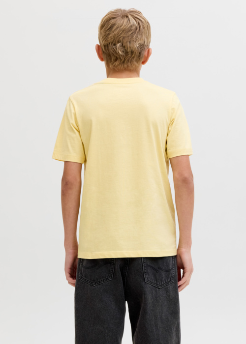 Jack & Jones T-krekls Rayson