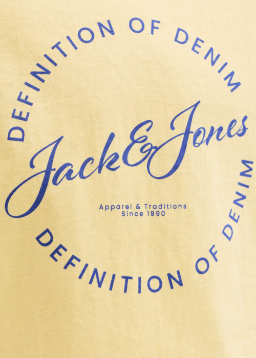 Jack & Jones T-krekls Rayson