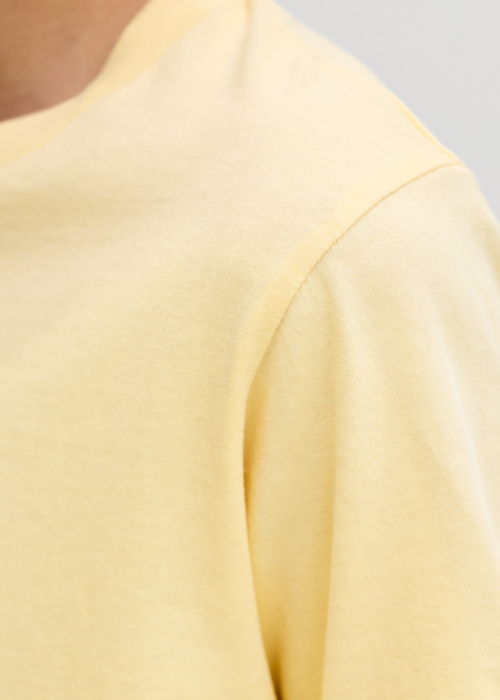 Jack & Jones T-krekls Rayson