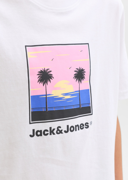 Jack & Jones T-krekls Perry