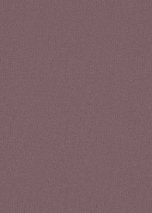 Name It Kids tops 2tk