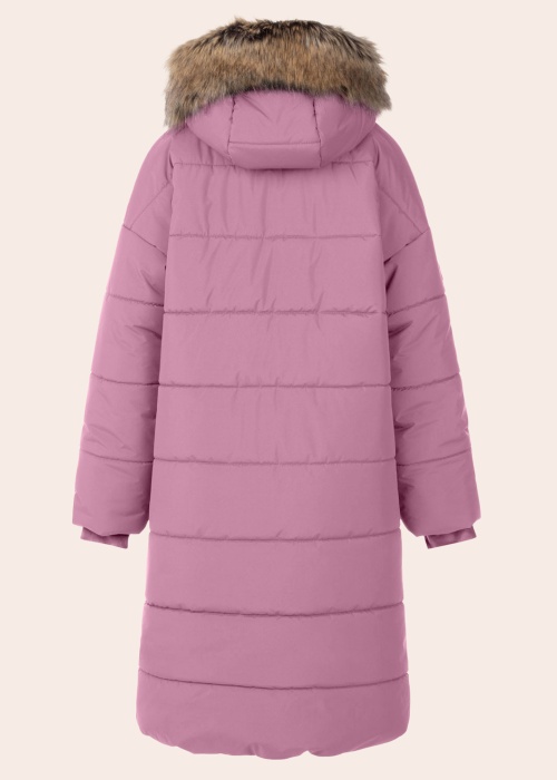 Lenne ziemas metelis Lilian