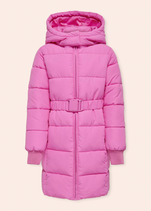 Only ziemas metelis Maggi