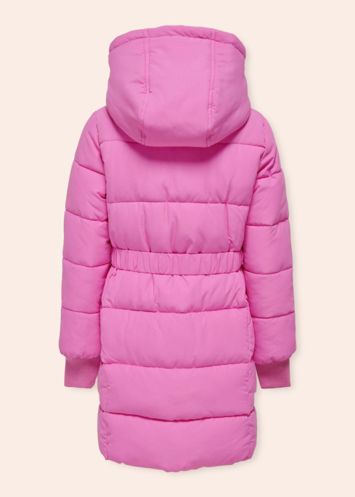 Only ziemas metelis Maggi