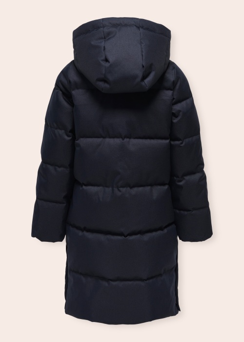 Only ziemas metelis Irene