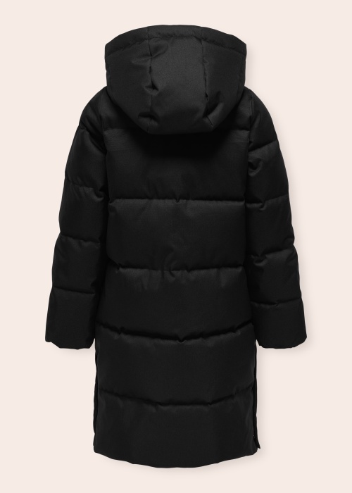 Only ziemas metelis Irene