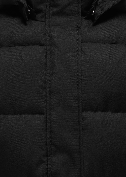 Only ziemas metelis Irene