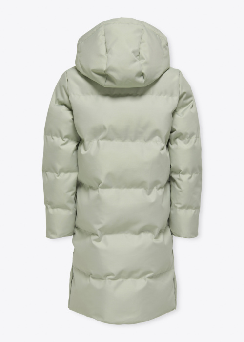 Only ziemas metelis Irene