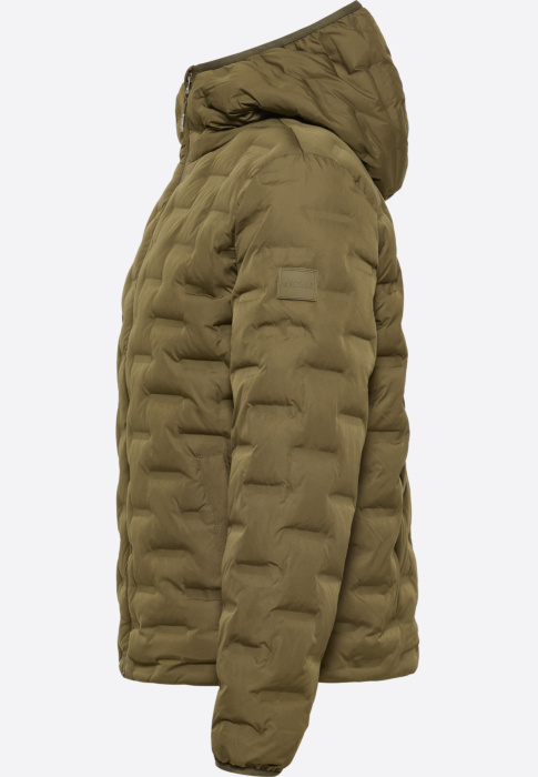 Mustang pavasara-rudens virsjaka