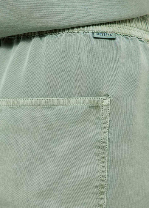 Mustang bikses Charlottesville