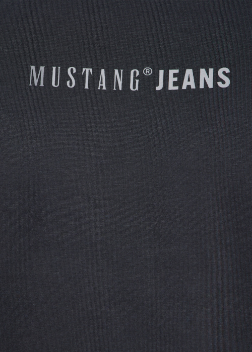 Футболка Asheville Mustang