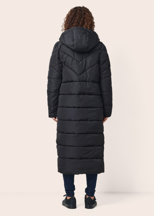 Noisy May ziemas metelis Dalcon