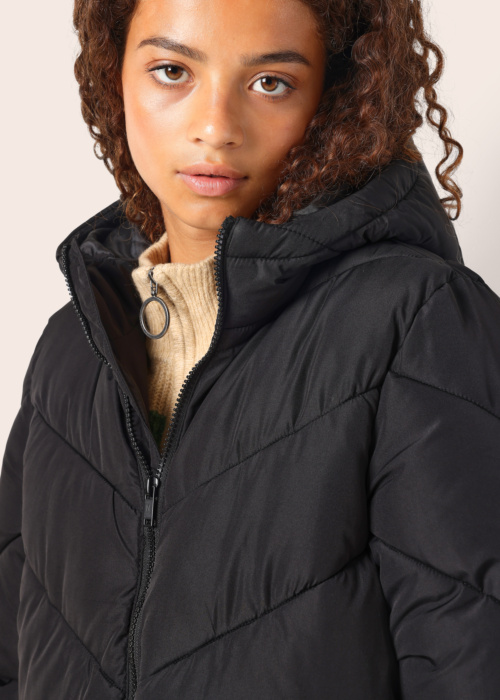 Noisy May ziemas metelis Dalcon