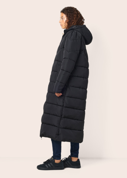 Noisy May ziemas metelis Dalcon