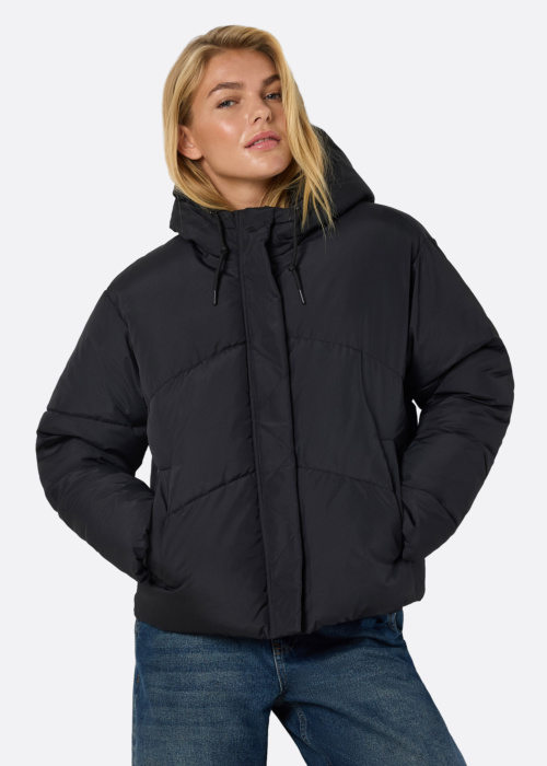 Noisy May Ziemas virsjaka Tenna