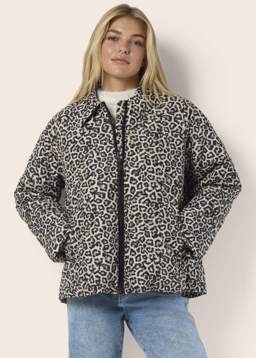 Noisy May pavasara-rudens virsjaka Gilly