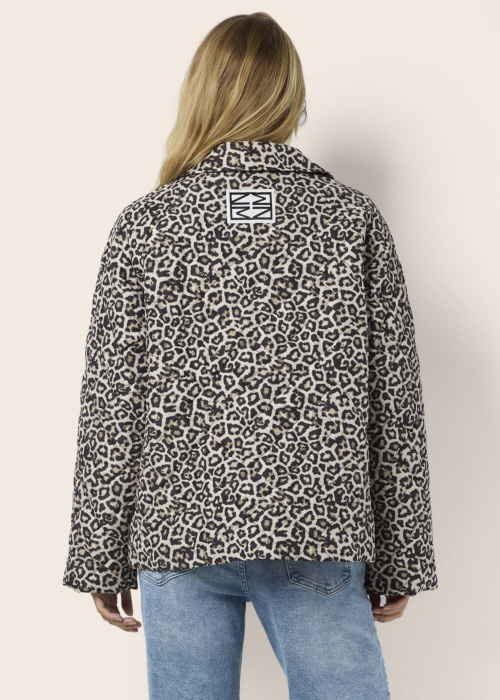 Noisy May pavasara-rudens virsjaka Gilly