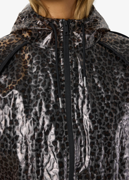 Noisy May pavasara-rudens virsjaka Sky