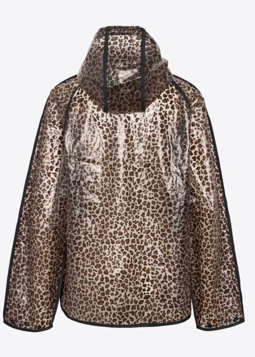 Noisy May pavasara-rudens virsjaka Sky