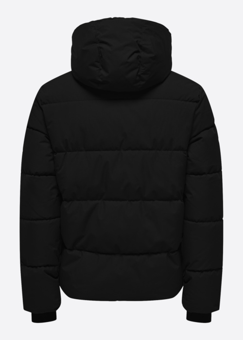 Only & Sons Ziemas virsjaka Elijah