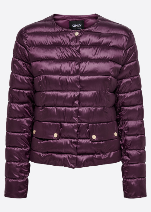 Only pavasara-rudens virsjaka Vega