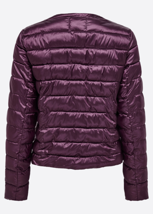 Only pavasara-rudens virsjaka Vega