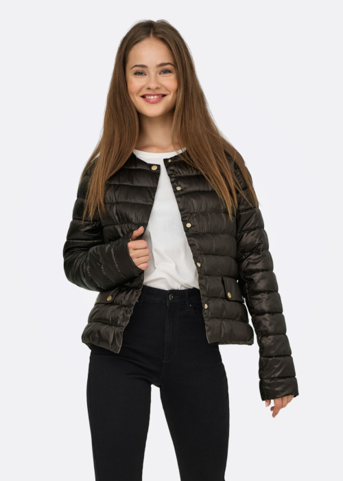 Only pavasara-rudens virsjaka Vega