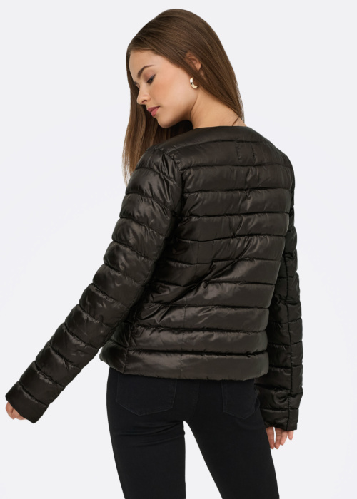 Only pavasara-rudens virsjaka Vega