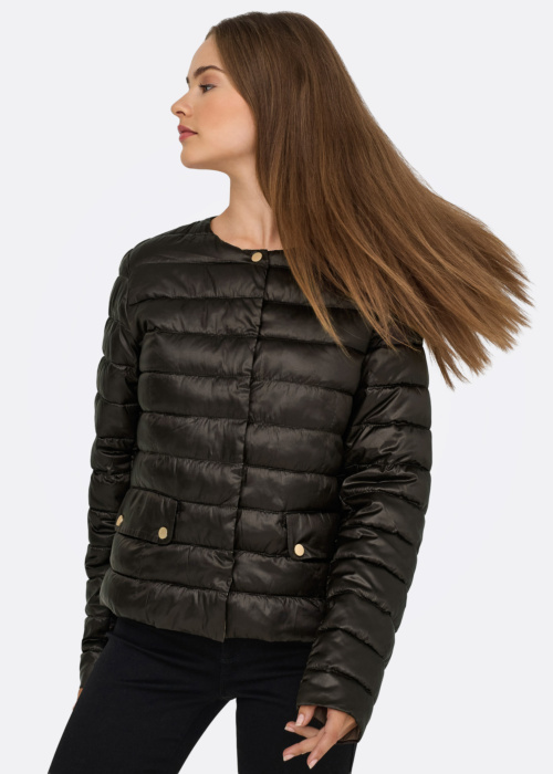 Only pavasara-rudens virsjaka Vega