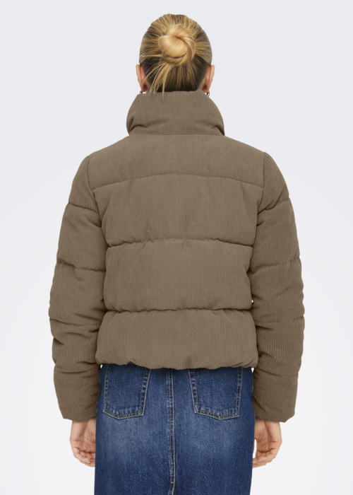 Only Ziemas virsjaka Newdolly