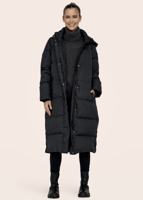 Only ziemas metelis Alice