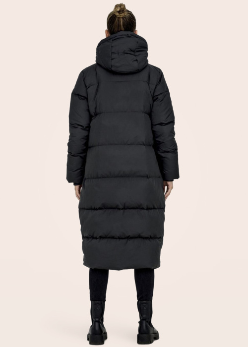 Only ziemas metelis Alice