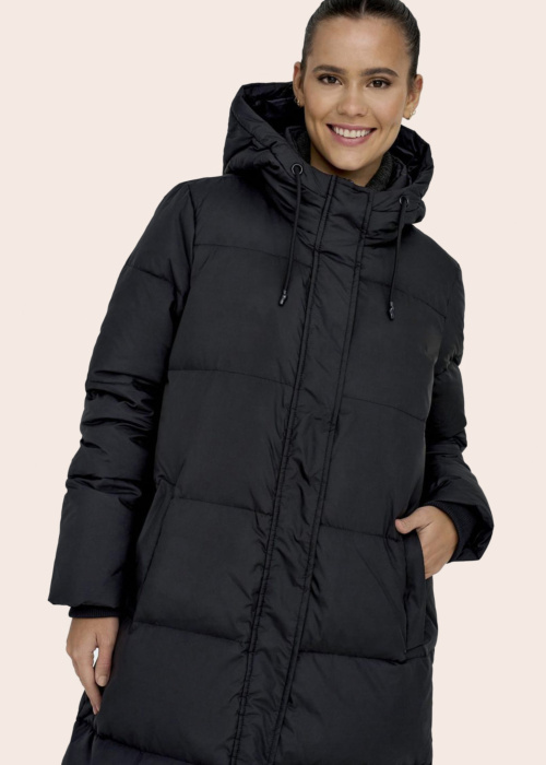 Only ziemas metelis Alice