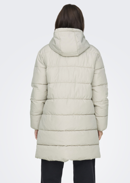 Only ziemas metelis Clair