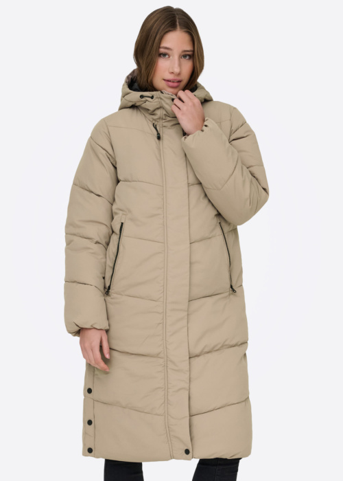 Only ziemas metelis Maggi