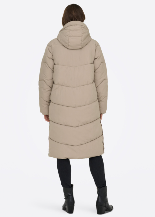 Only ziemas metelis Maggi