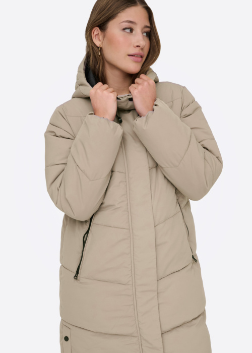 Only ziemas metelis Maggi